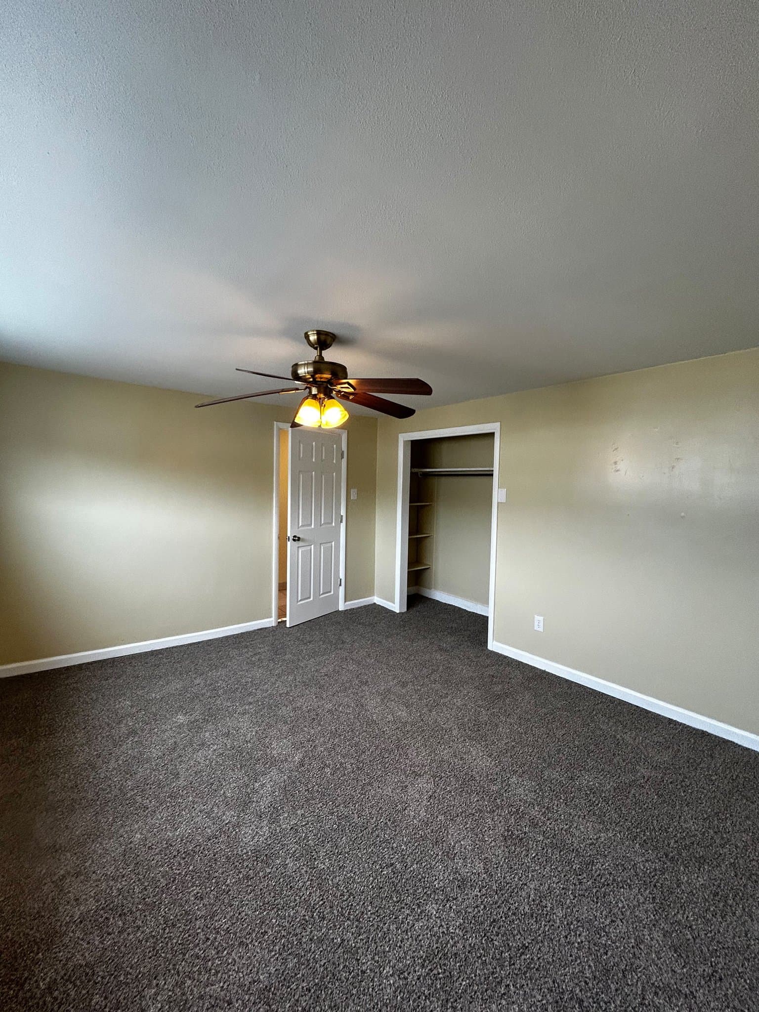 Carbondale Apartment: 41 Fallbrook St
