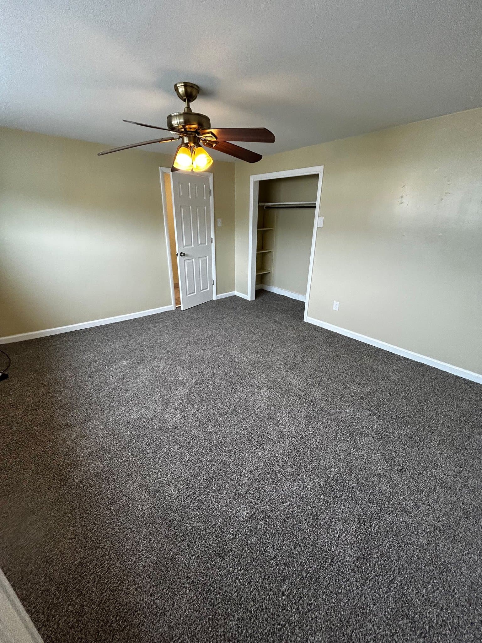 Carbondale Apartment: 41 Fallbrook St