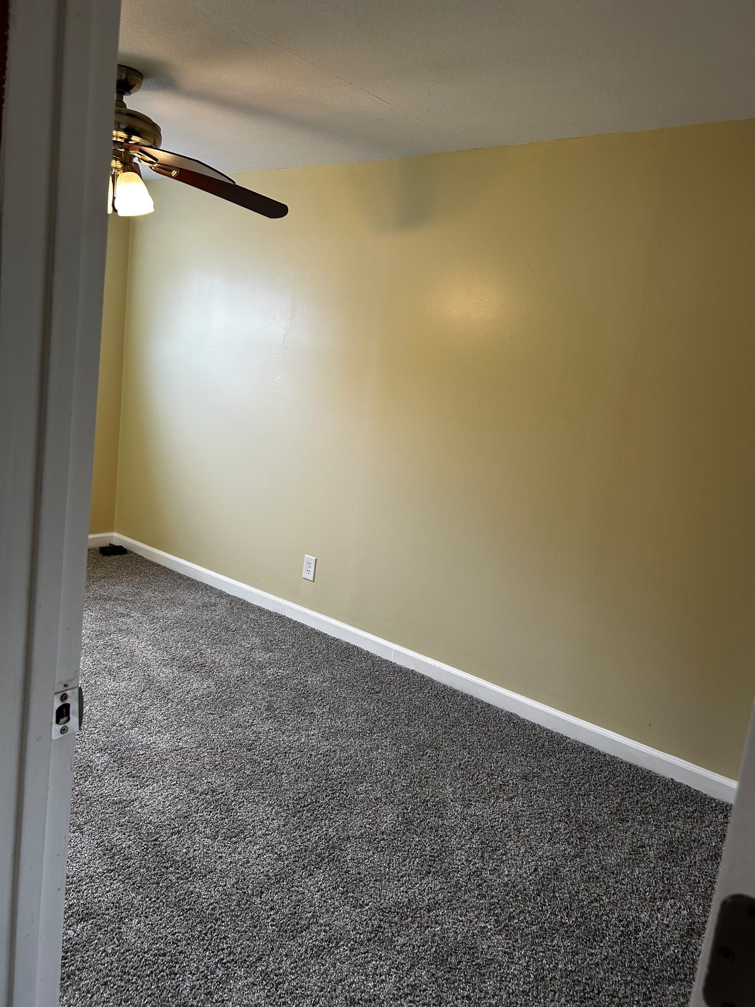 Carbondale Apartment: 41 Fallbrook St