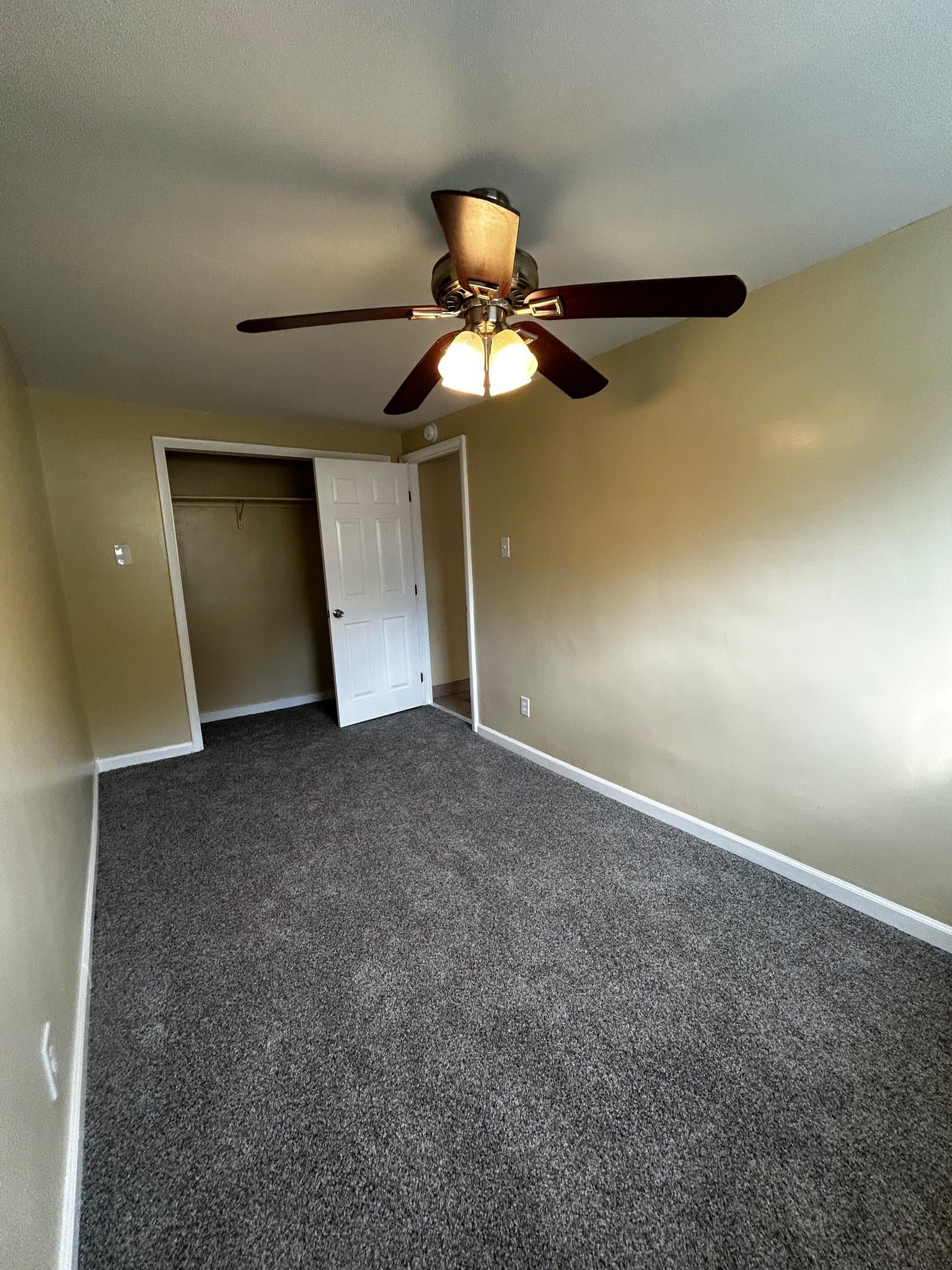Carbondale Apartment: 41 Fallbrook St