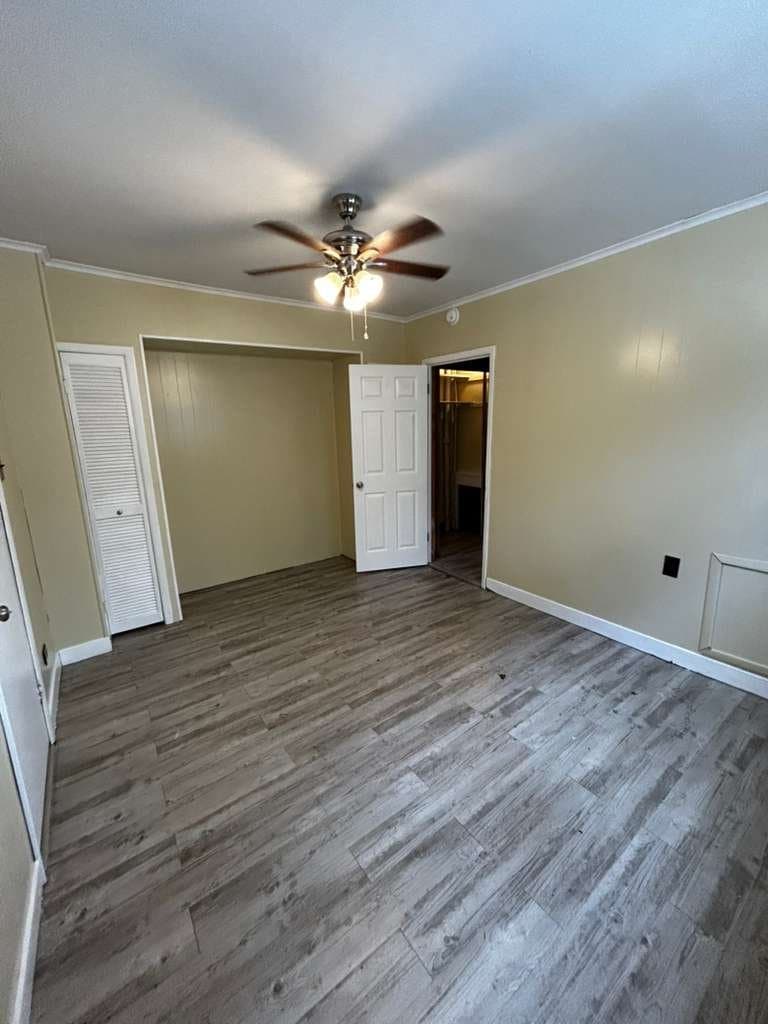 Carbondale House: 41 Fallbrook Street