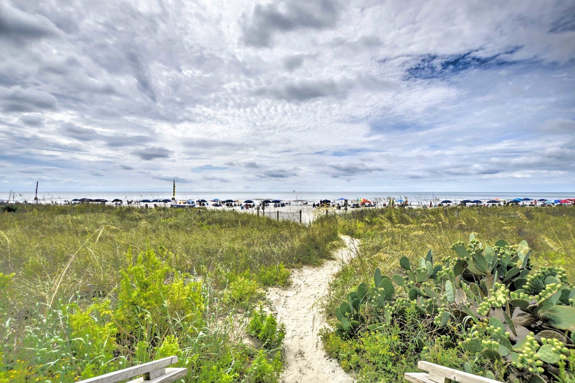 North Myrtle Beach Condo: 1709 S Ocean Blvd