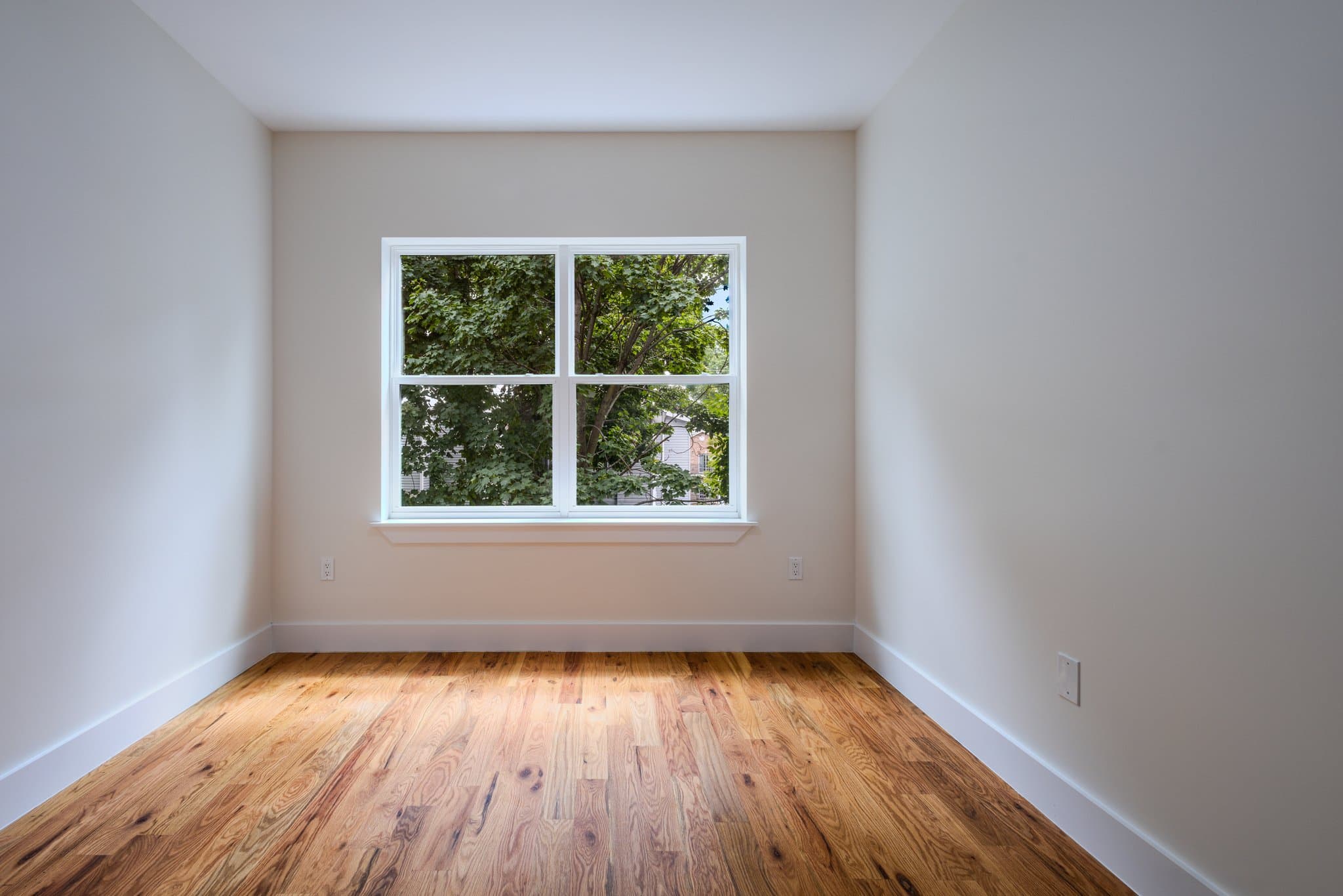 Newark Apartment: 145 Roseville Ave