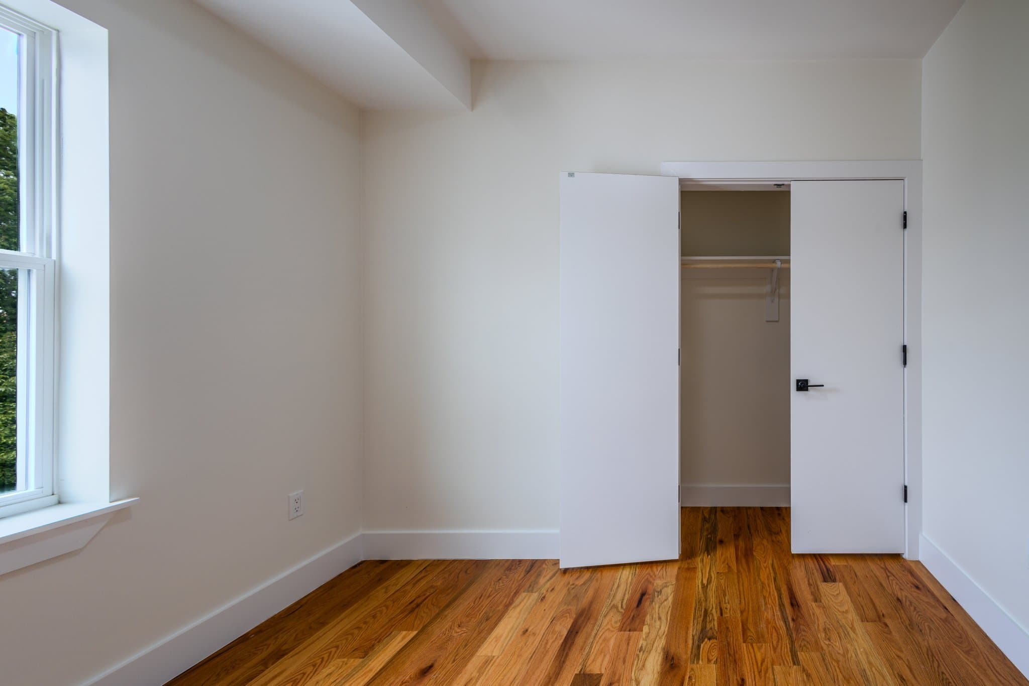 Newark Apartment: 145 Roseville Ave