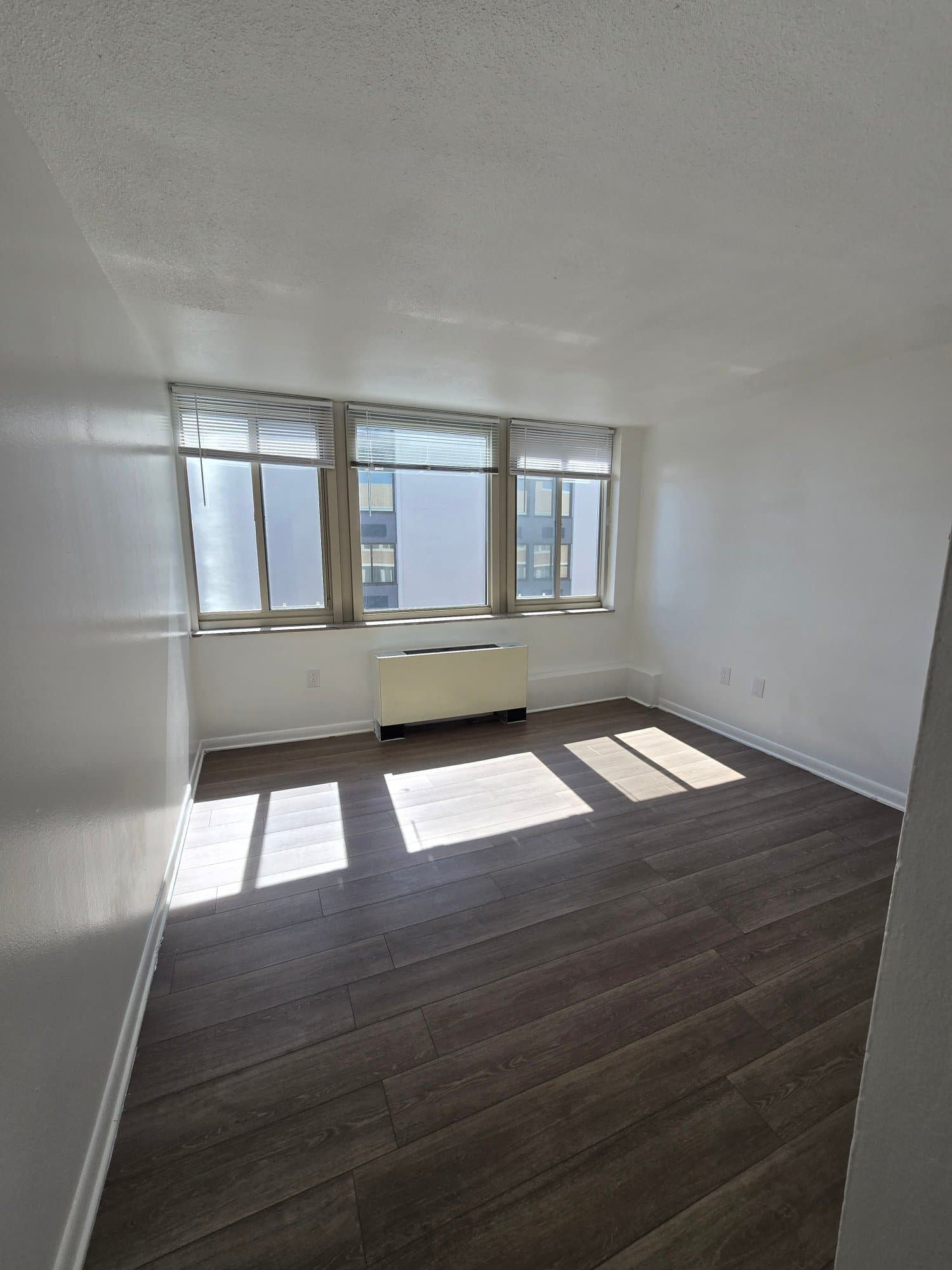 Richmond Apartment: 311 W Franklin St