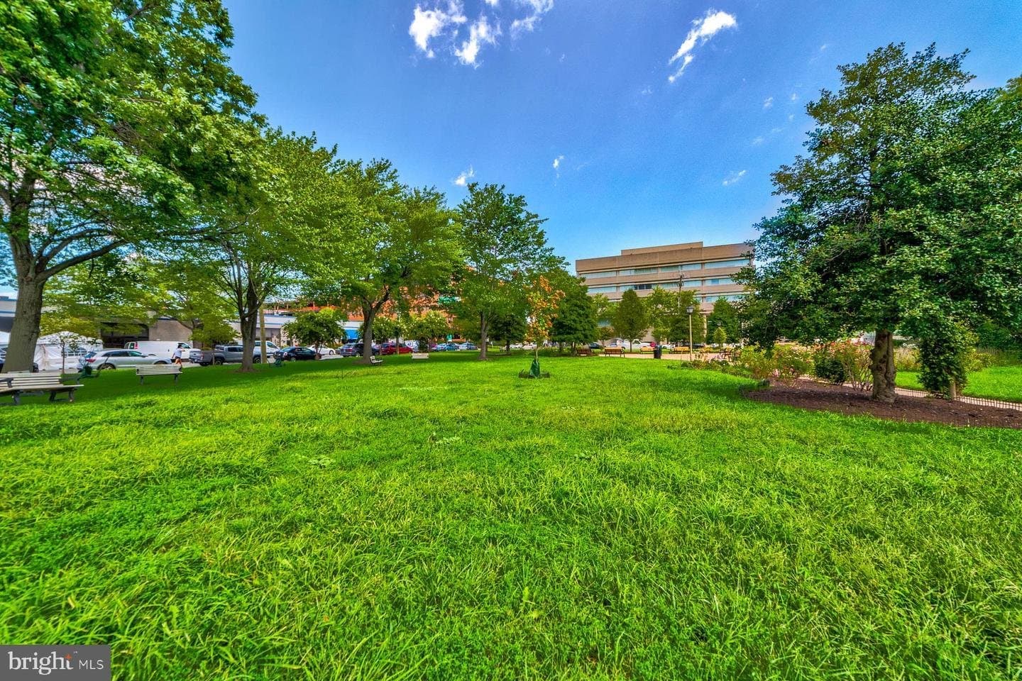 Alexandria Condo: 400 Madison Street