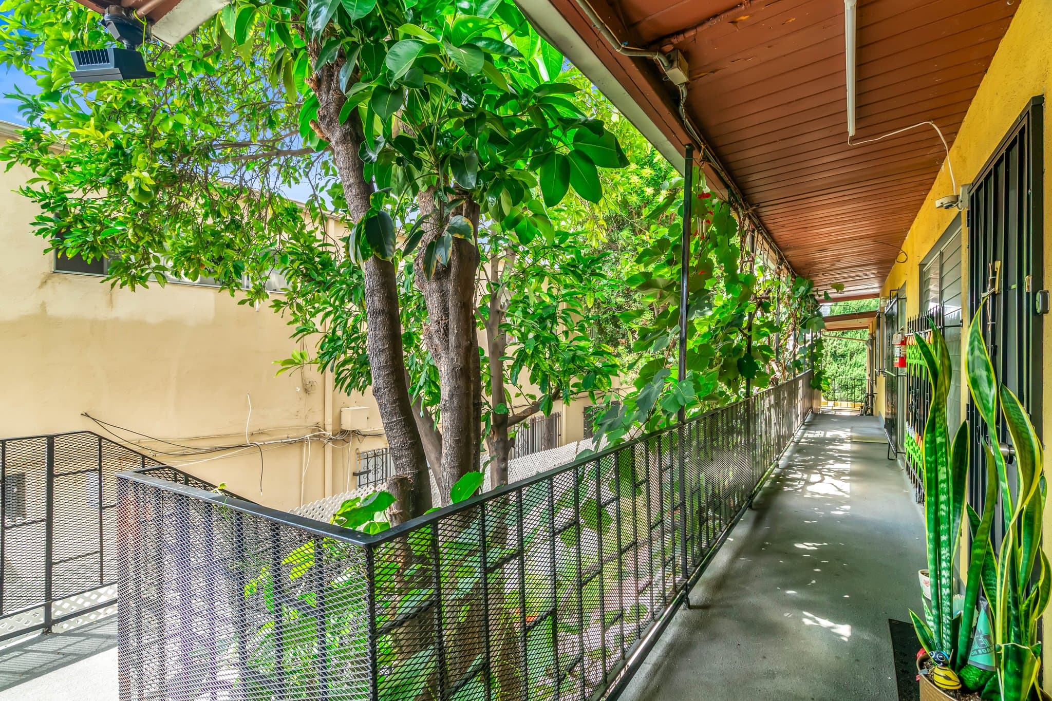Los Angeles Apartment: 826 S Grand View St