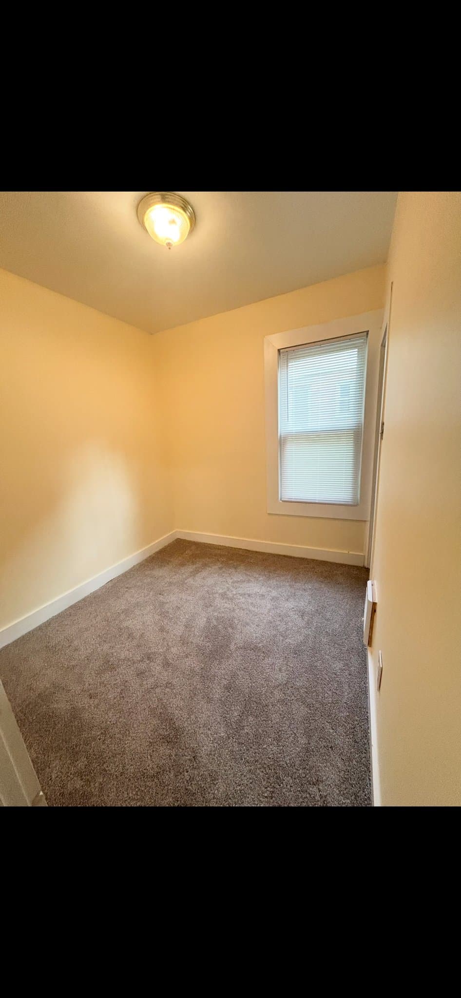 cohoes Multiplex: 20 willow street unit 1