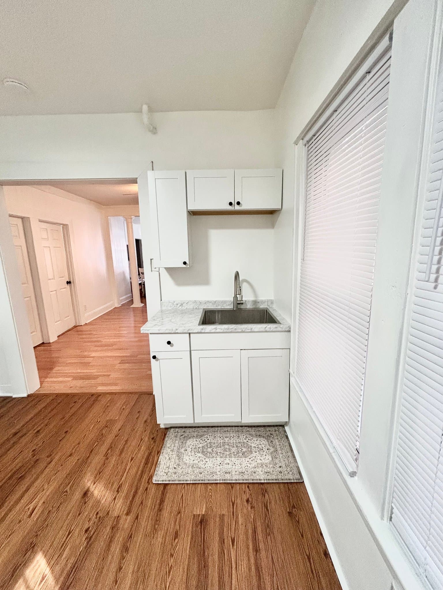 cohoes Multiplex: 20 willow street unit 1