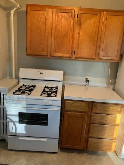 Wilmette Apartment: 922 1/2 Oakwood Avenue