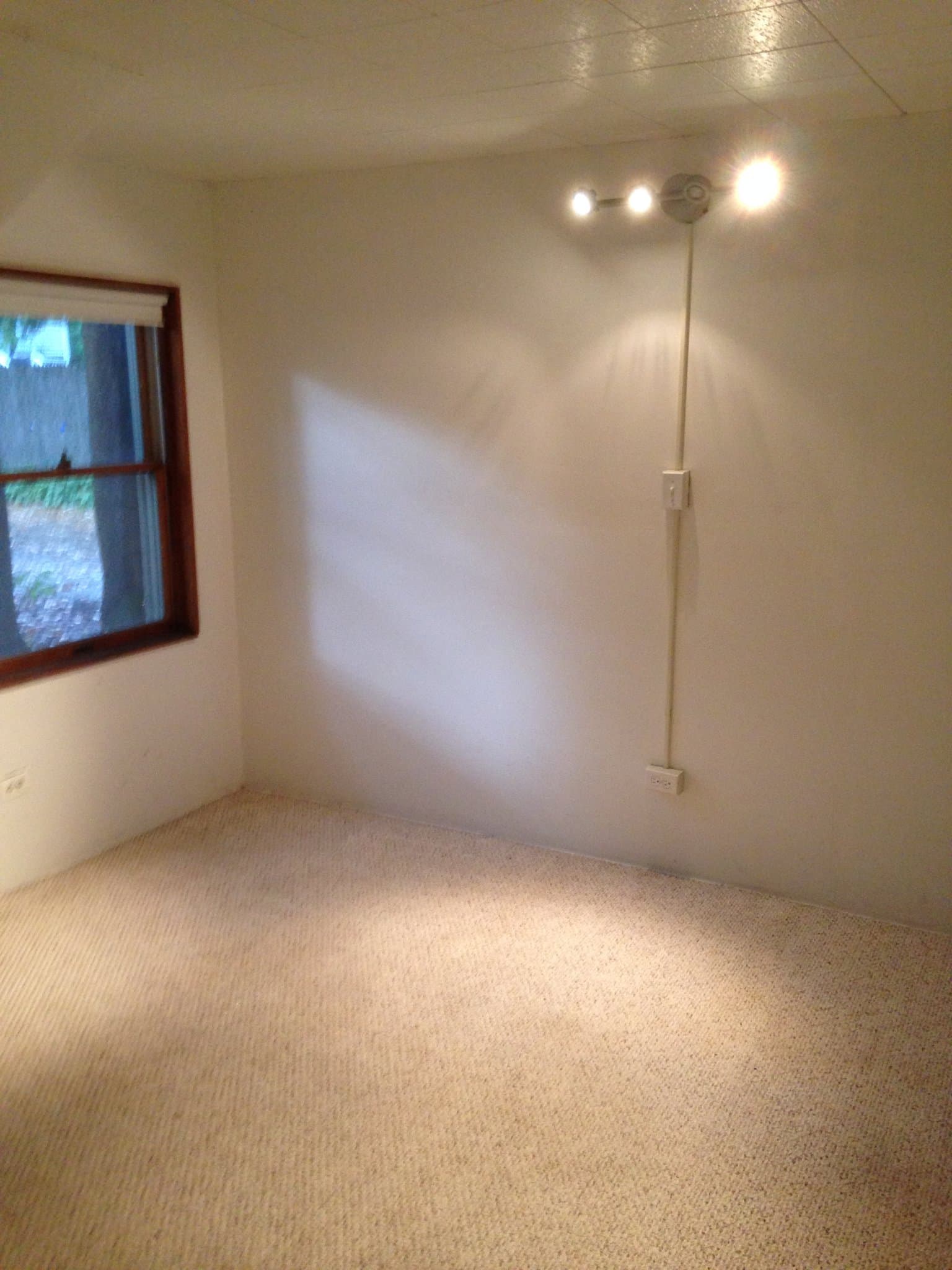 Wilmette Apartment: 922 1/2 Oakwood Avenue