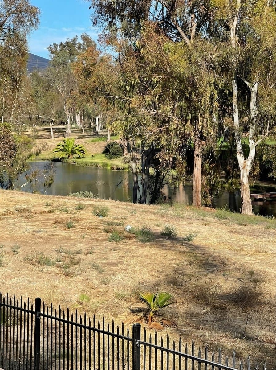 San Diego House: 14619 Rancho Santa Fe Farms Rd