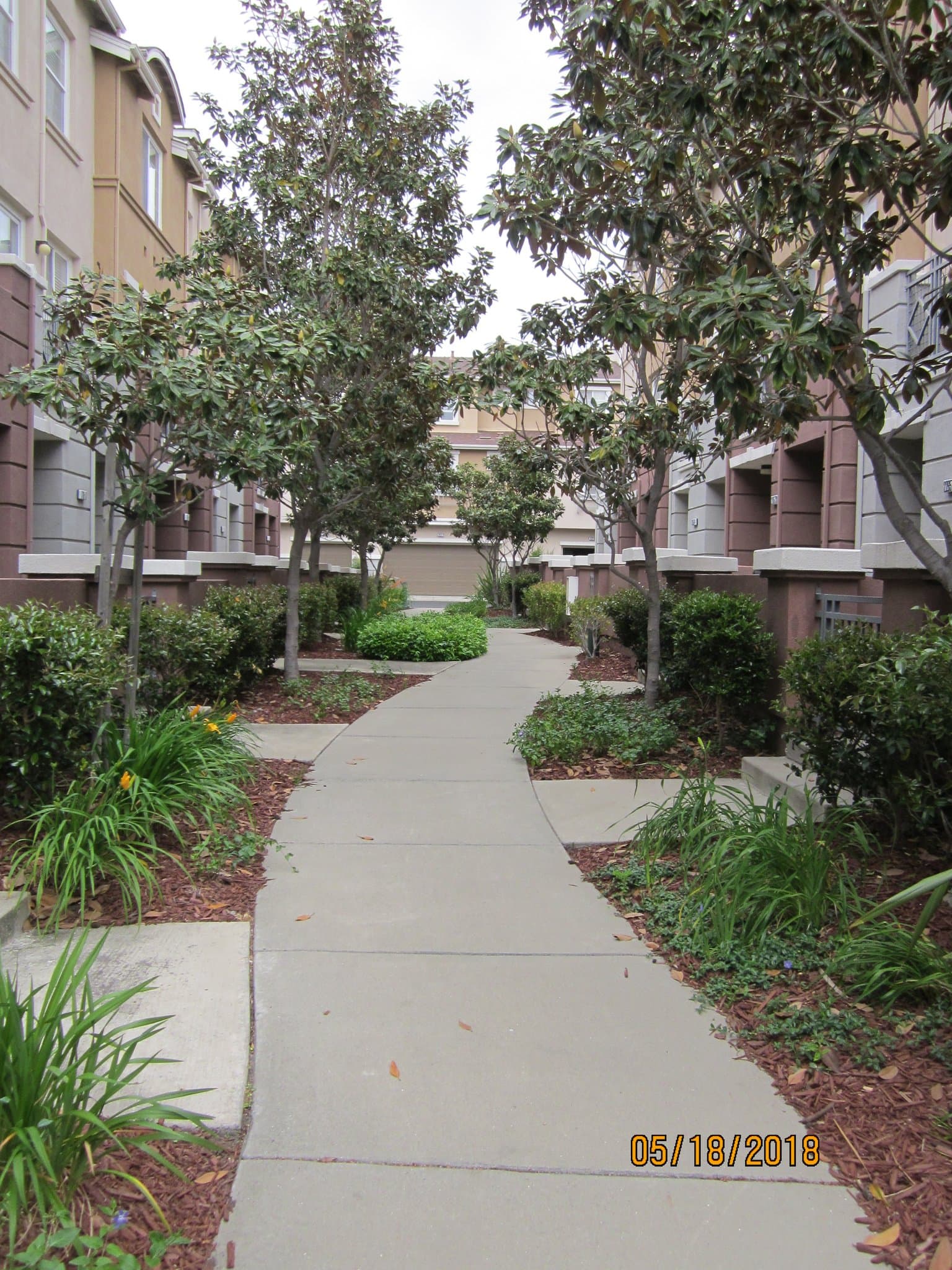 Hayward Condo: 716 City Walk Pl