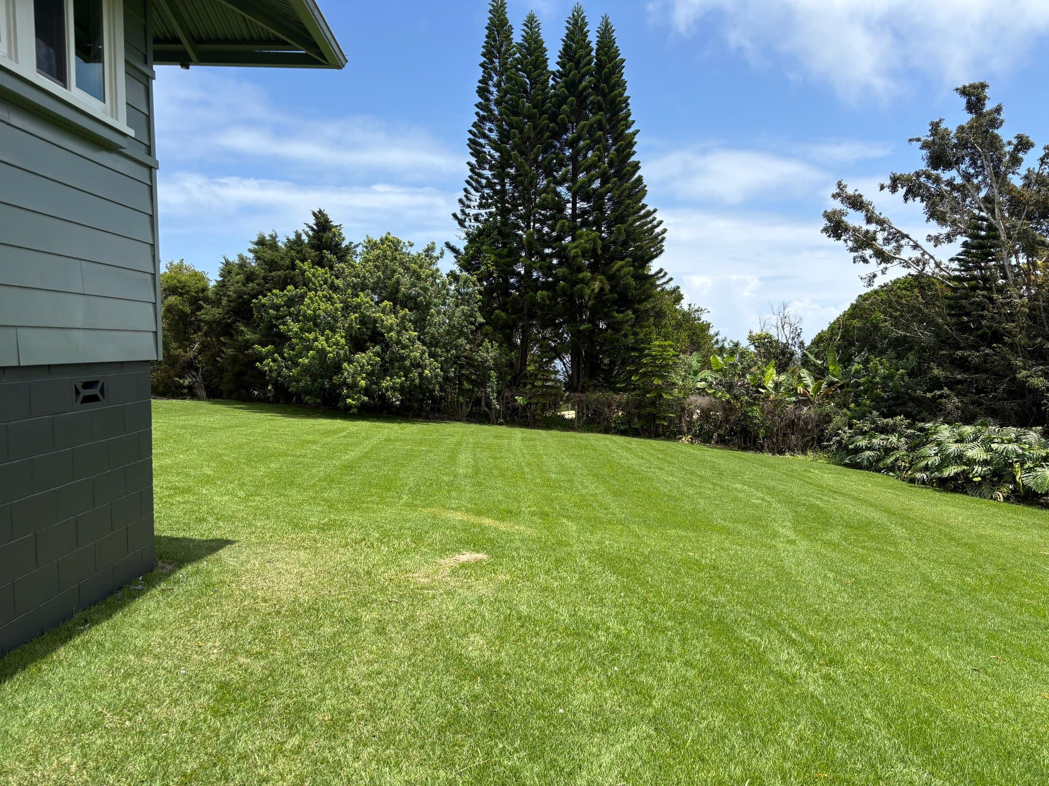 Honokaa House: 45-3334 Kou St