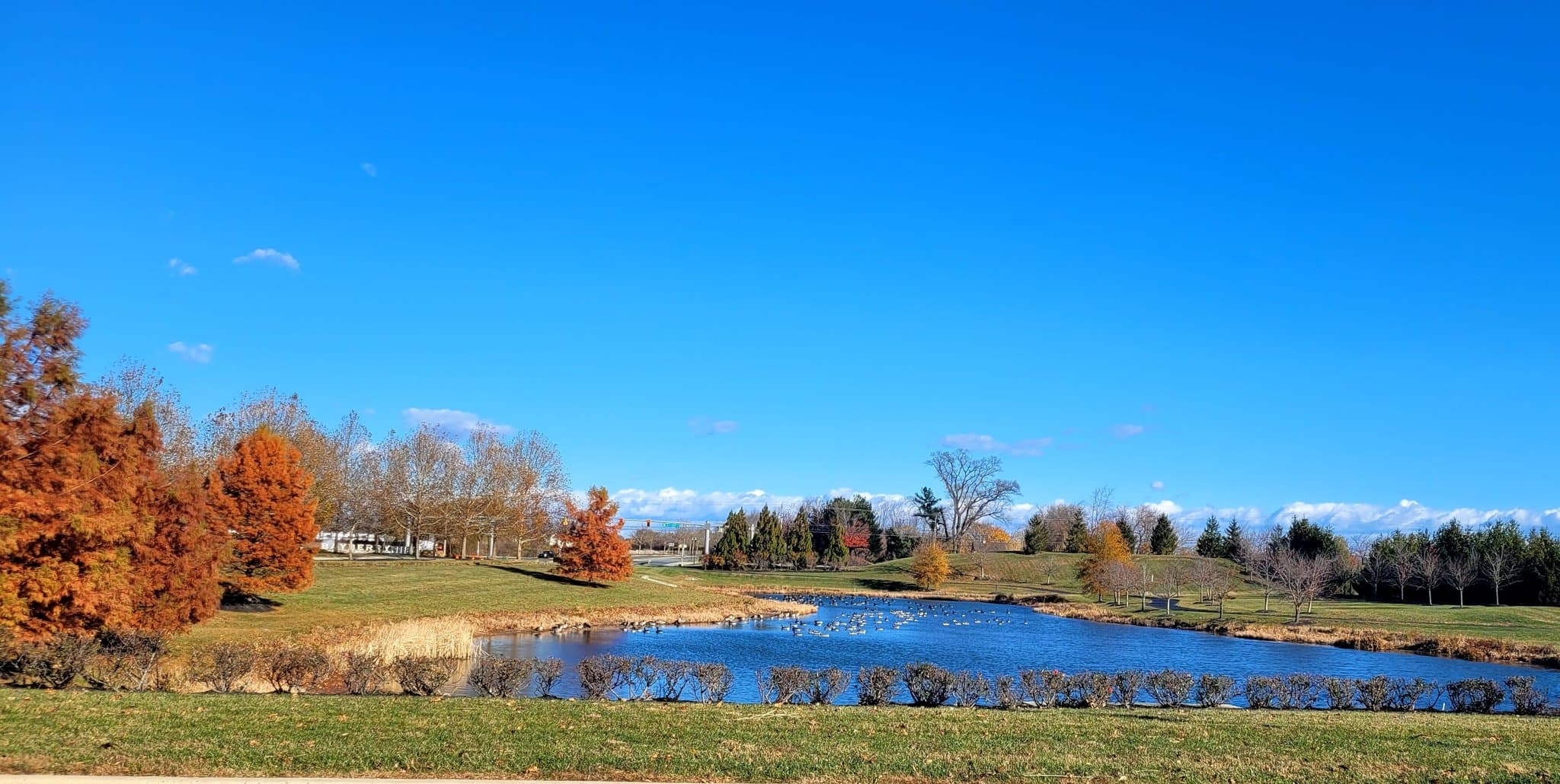 Middletown House: 2719 Van Cliburn Cir