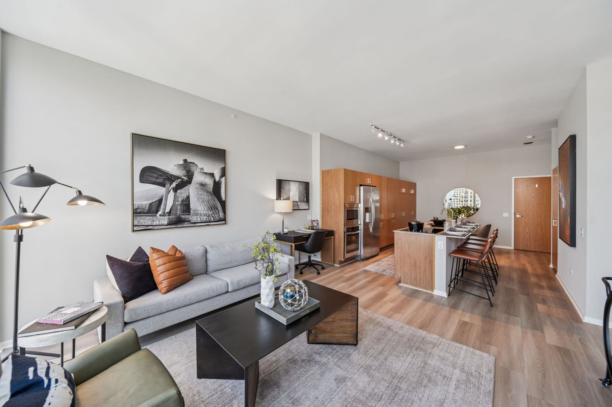 Chicago Condo: 230 E Illinois