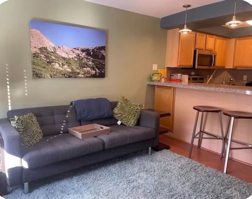 Denver Condo: 1833 N Williams St