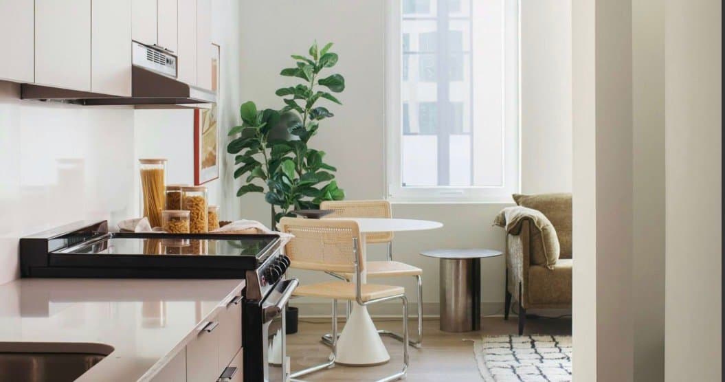 Chicago Apartment: 1535 N Fremont
