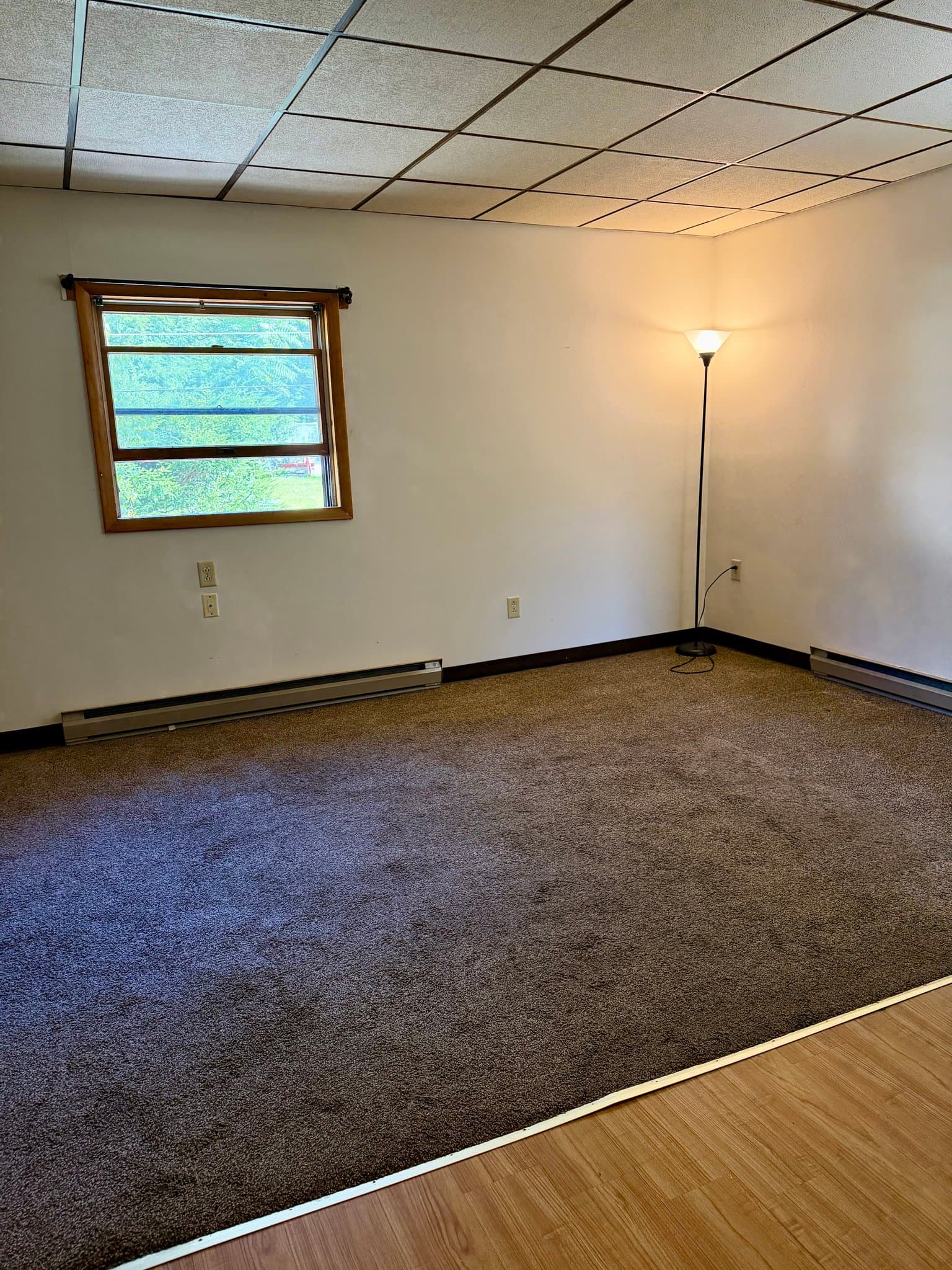 Olyphant Apartment: 116 Spruce St.