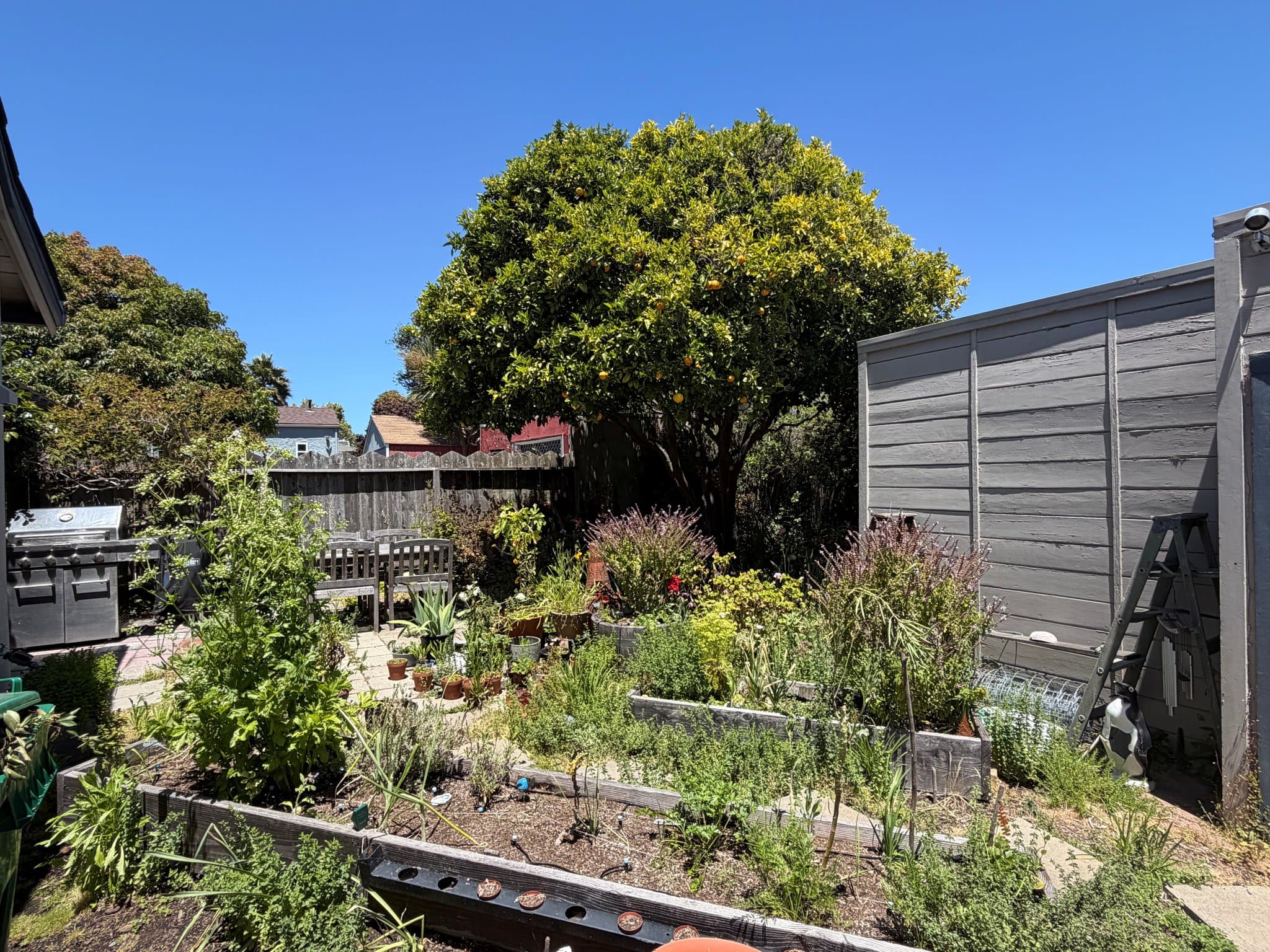 Richmond House: 918 34th St