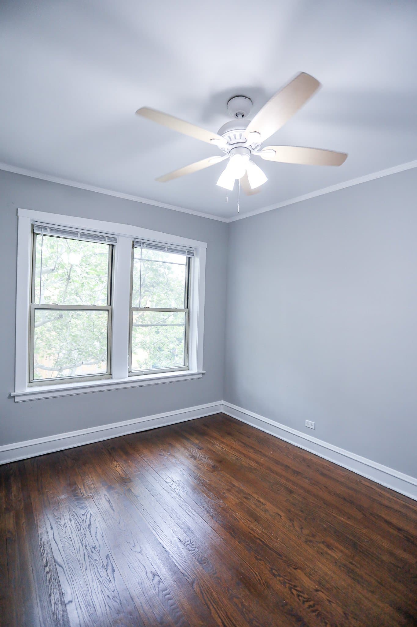 Chicago Apartment: 3410 W Balmoral