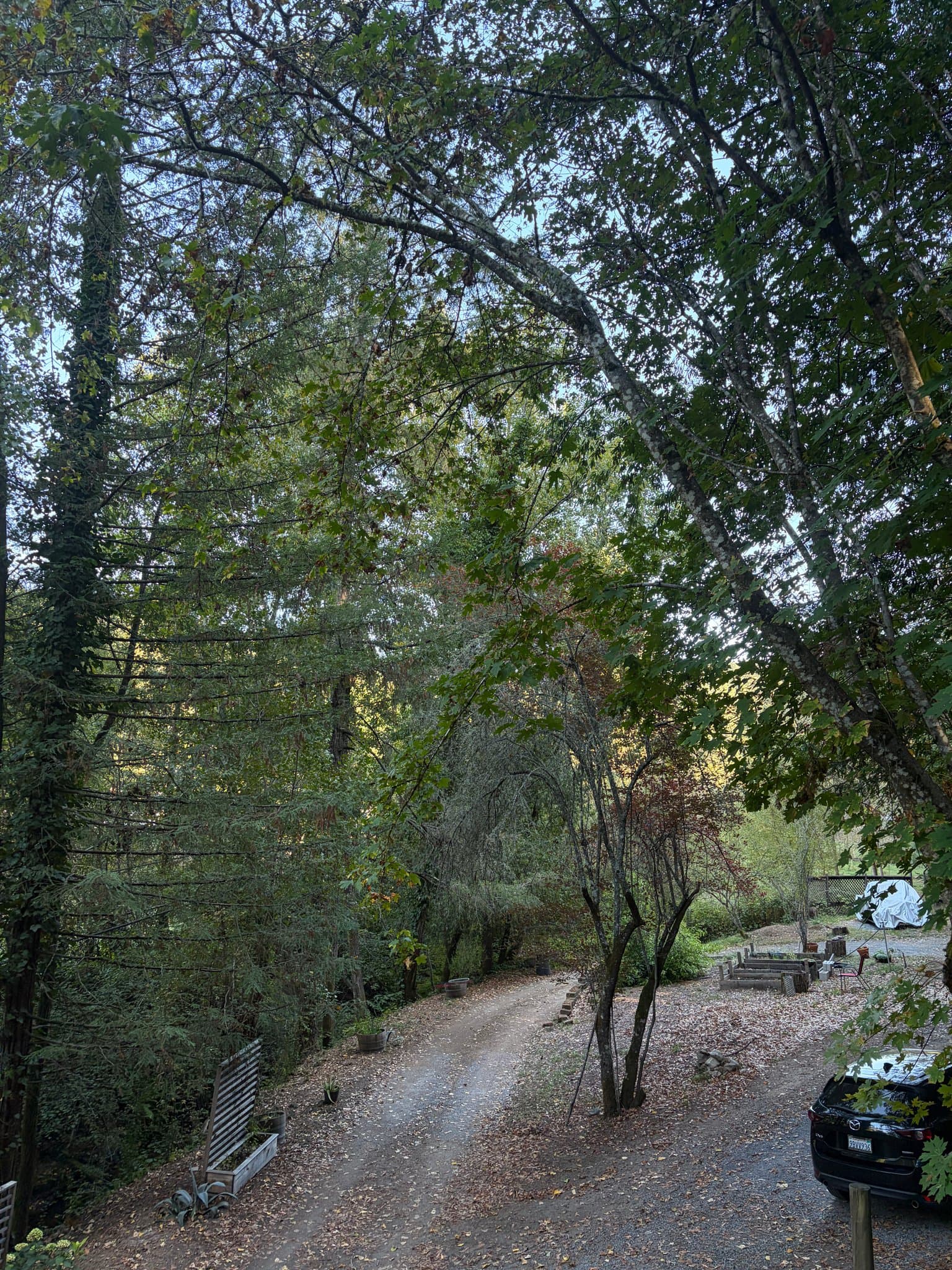 Guerneville House: 12000 Hwy 116