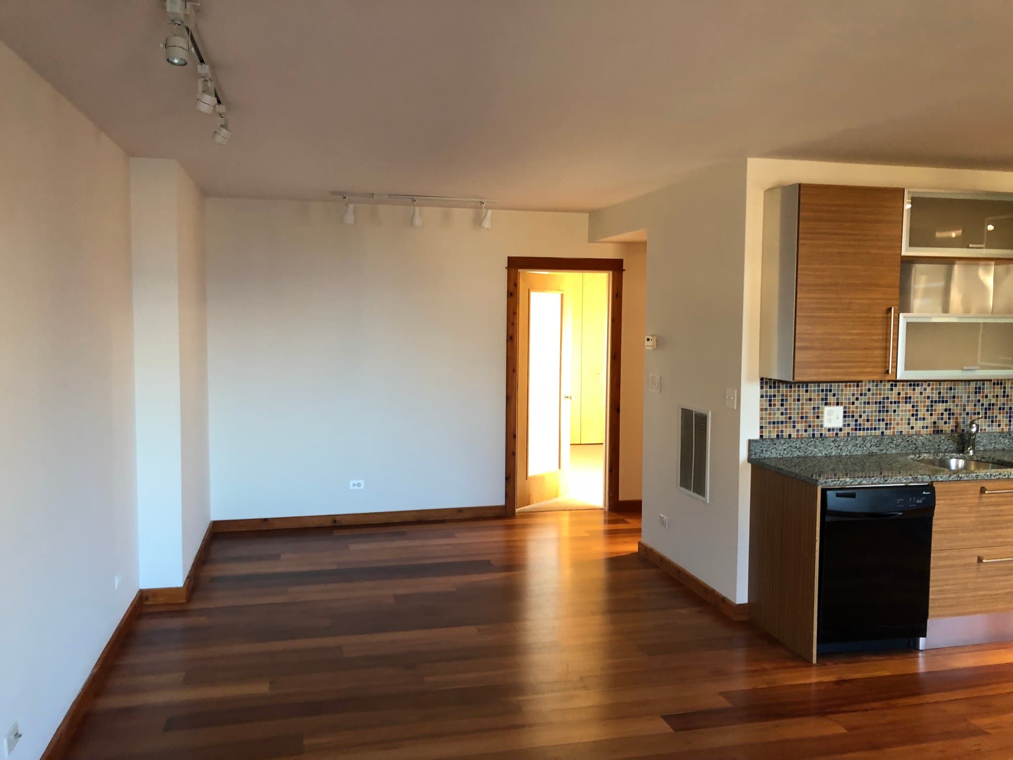 Chicago Apartment: 5346 S Cornell