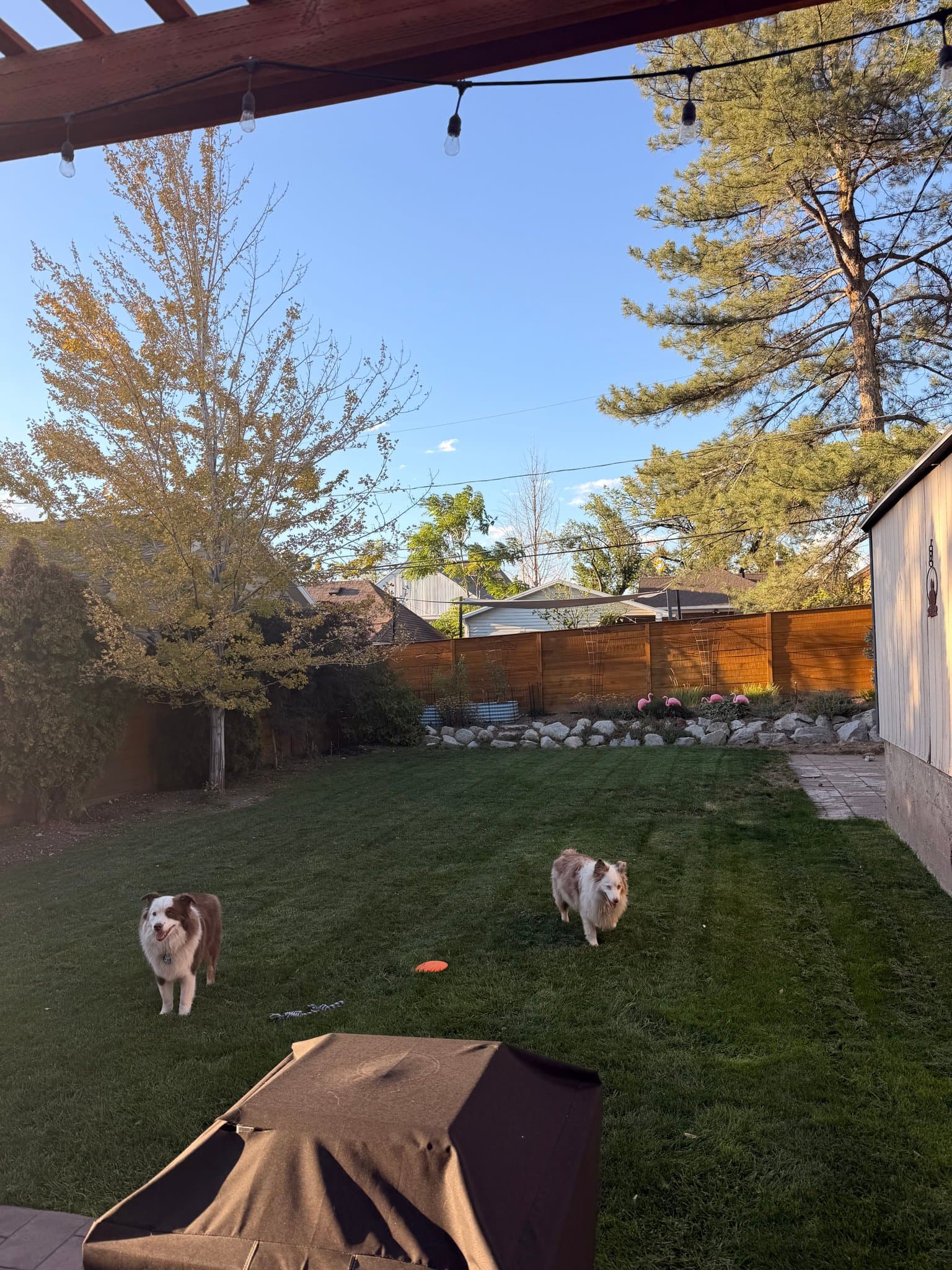 Salt Lake City House: 1329 E Browning Ave