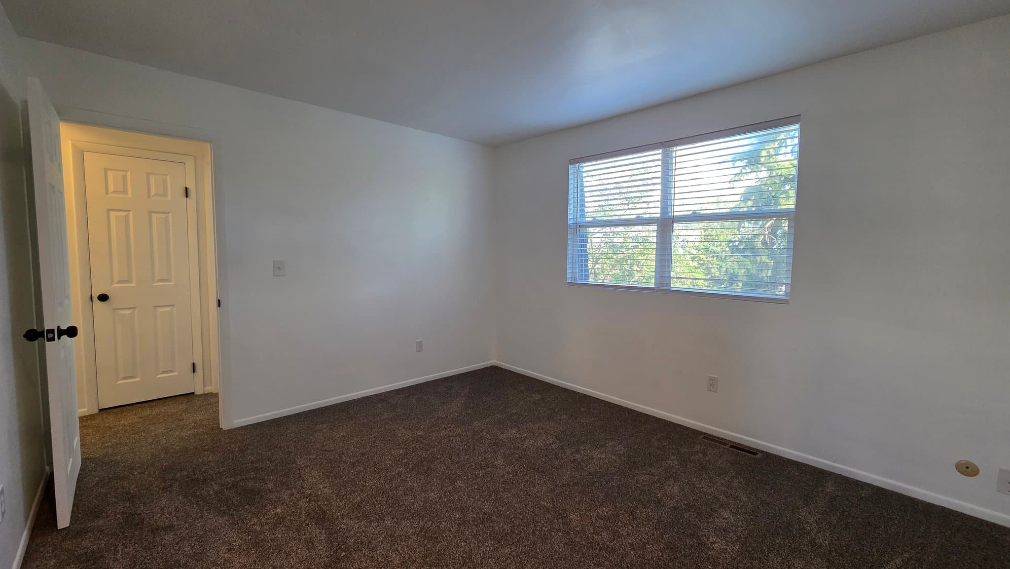 Colorado Springs House: 2205 Friendship Cir