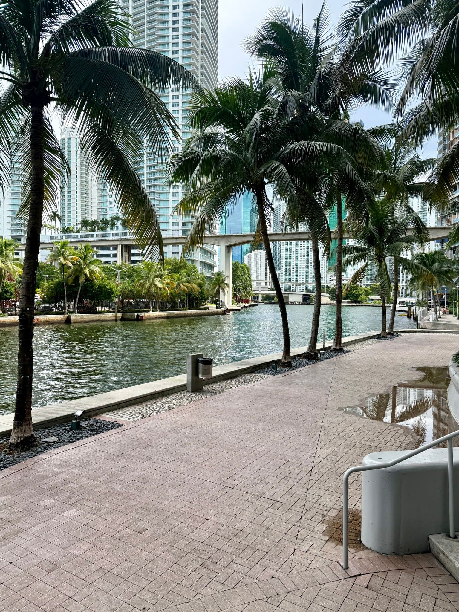 Miami Condo: 185 SW 7 Street