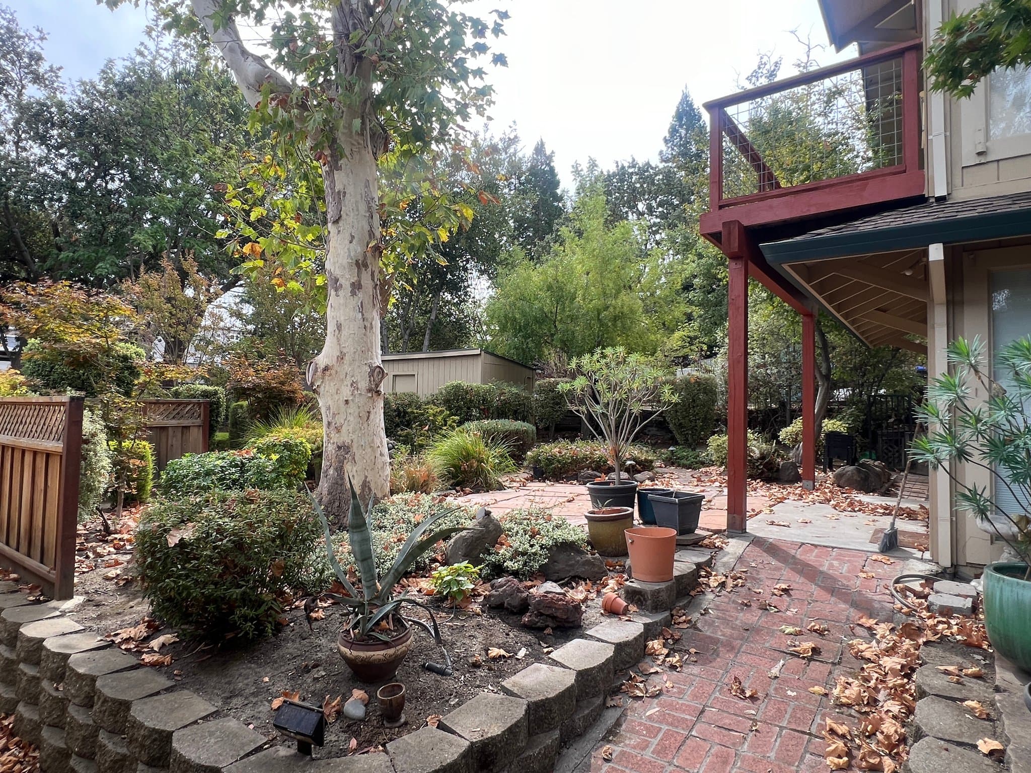 Pleasanton House: 356 adams way