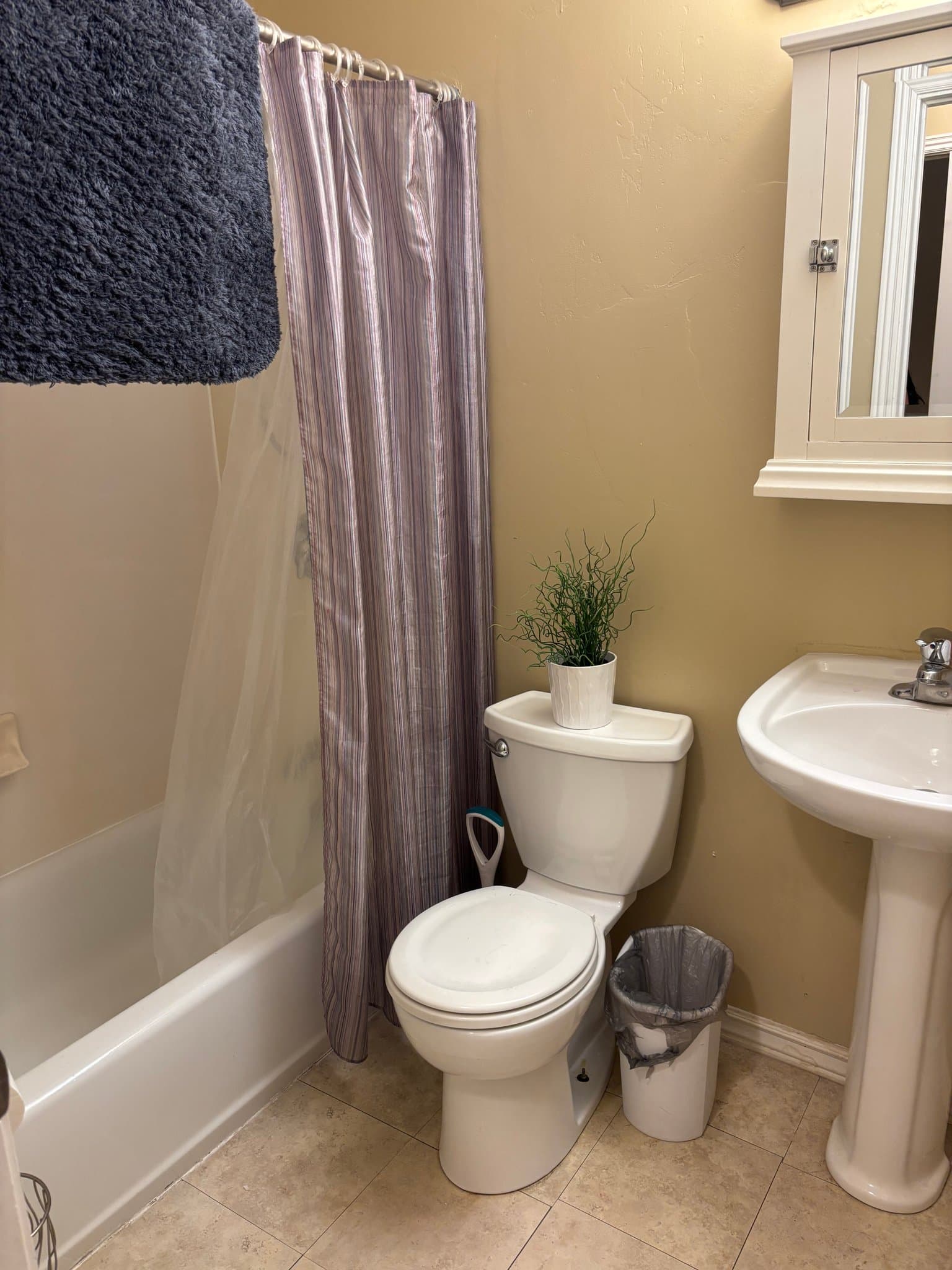 Springville House: 1119 W 100 N