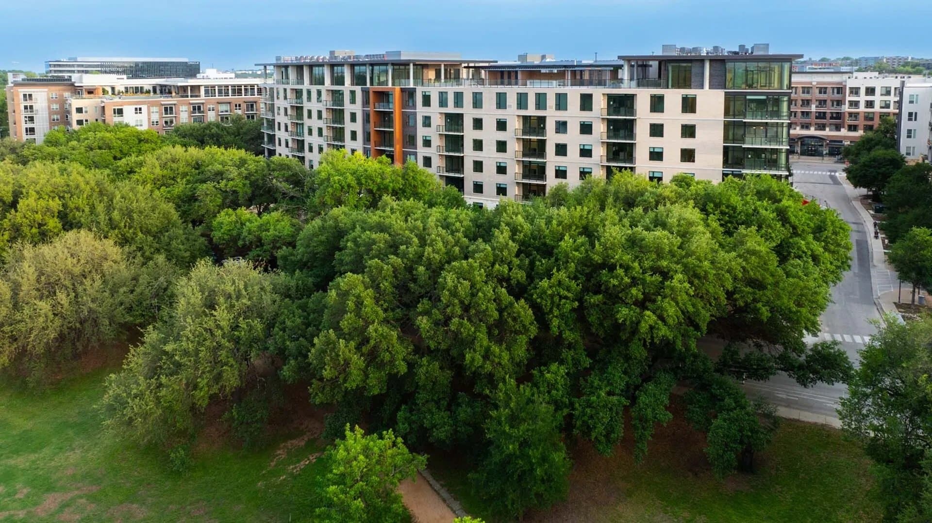 Austin Apartment: 1120 Towncreek dr