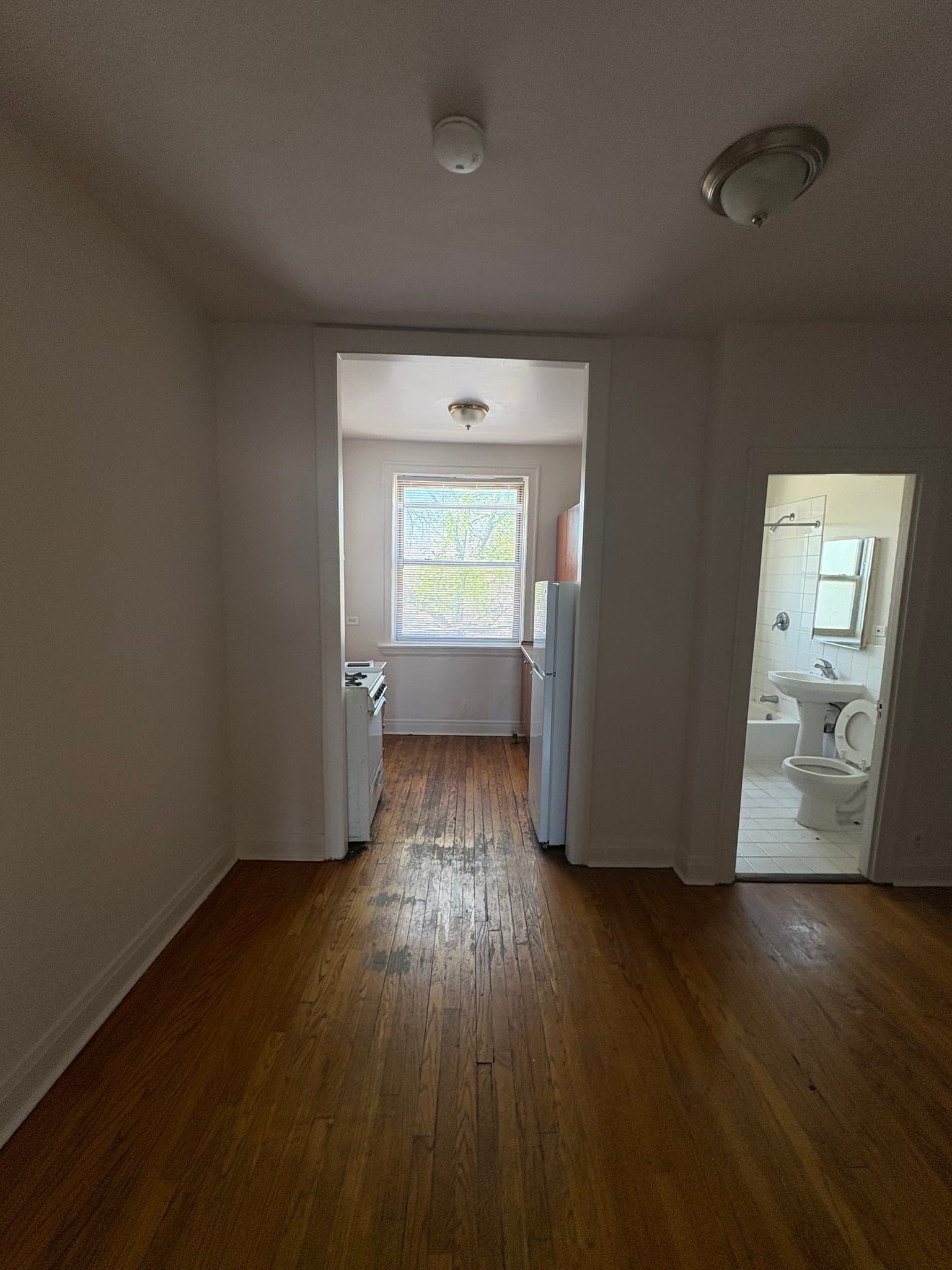 Oak Park Apartment: 822 S Austin