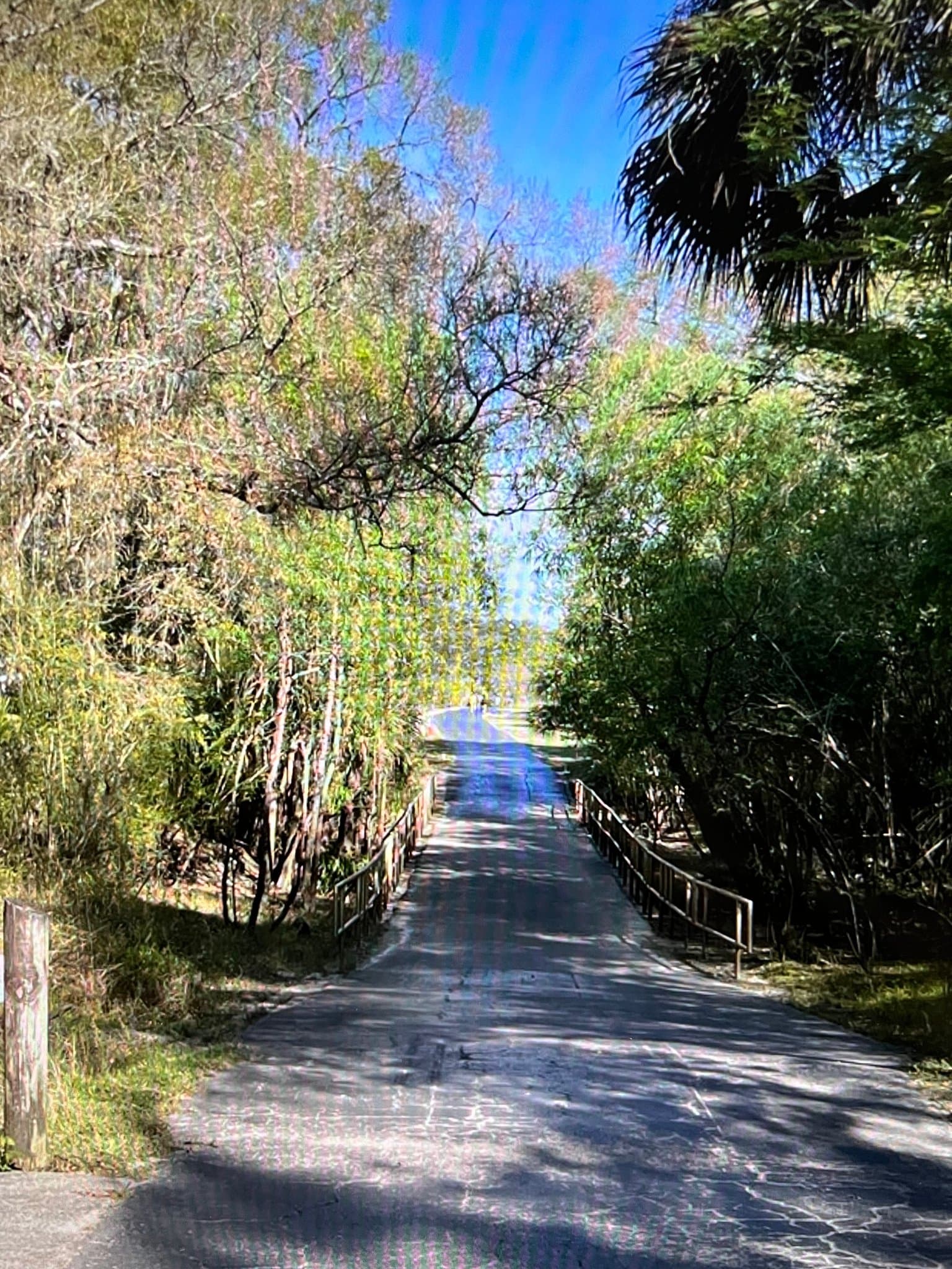 Tampa Townhome: 8671 Hunters Key Cir