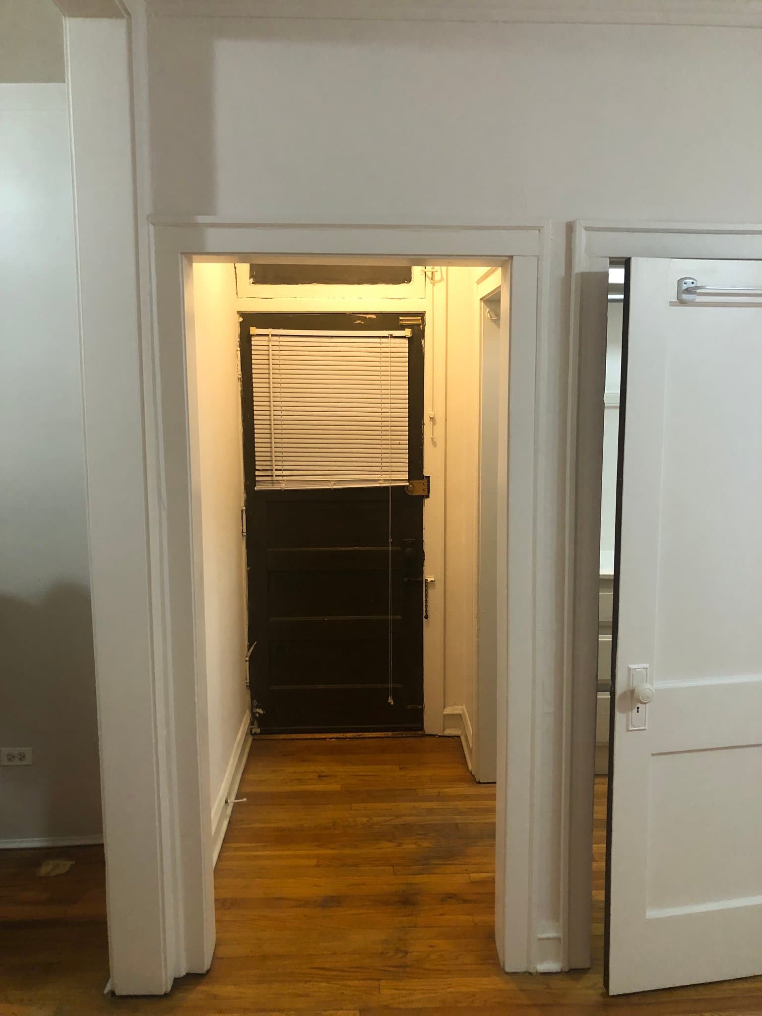 Oak Park Apartment: 822 S Austin