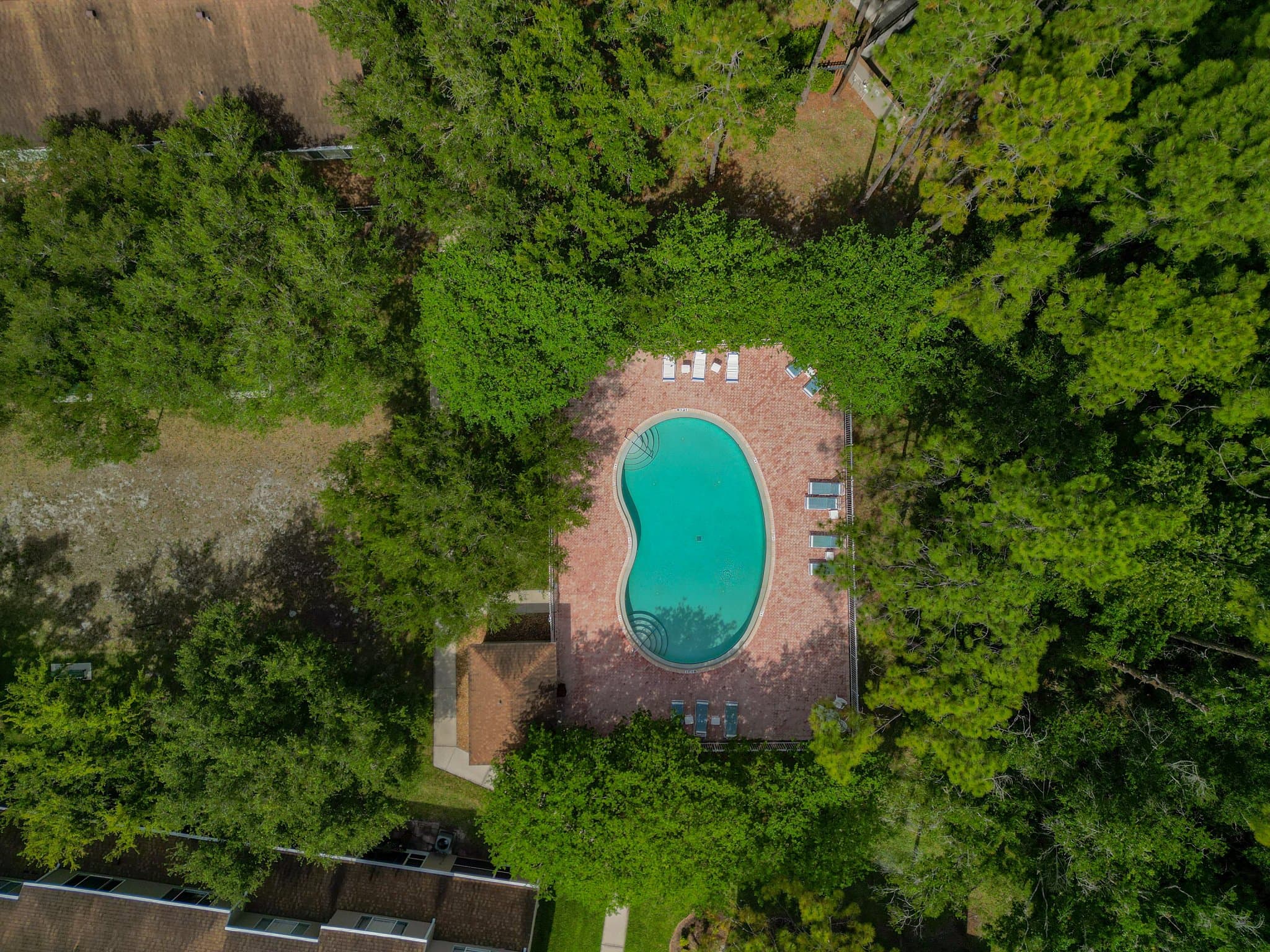 Tampa Townhome: 8671 Hunters Key Cir