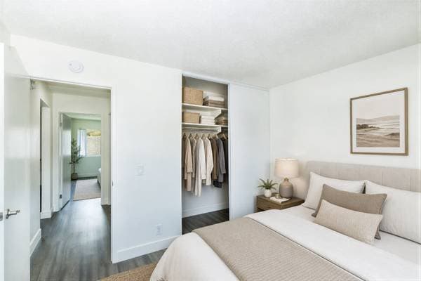 San Marcos Condo: 316 Smilax Rd