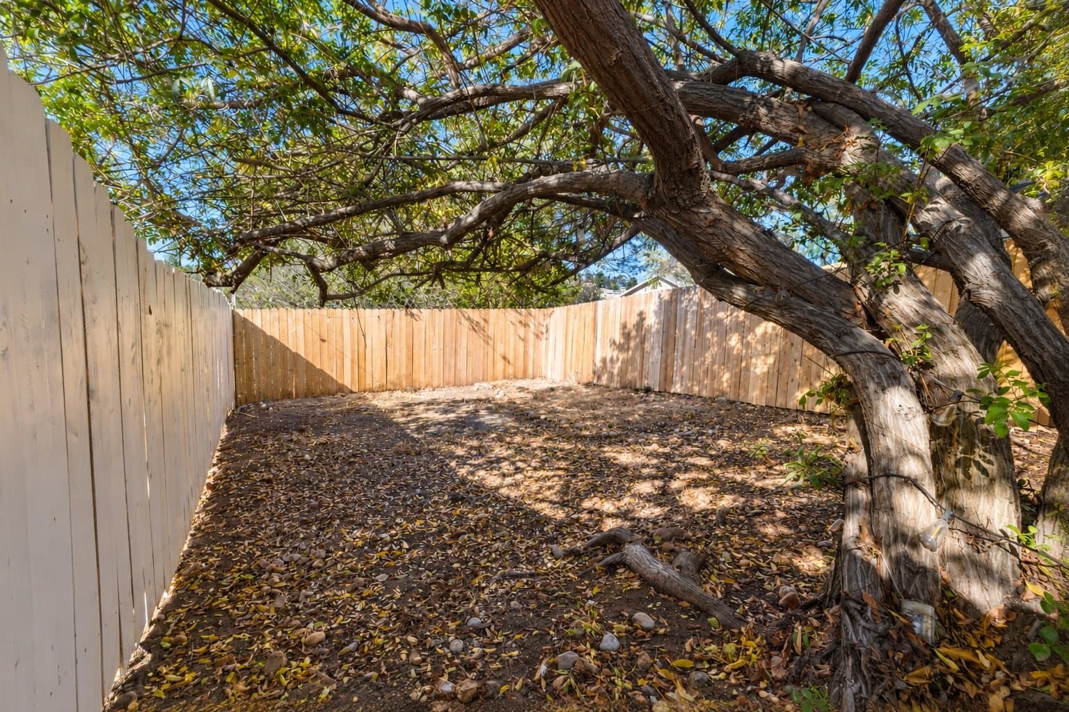 La Mesa House: 7580 Saranac Ave