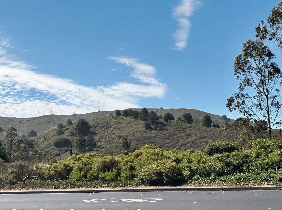 Daly City Condo: 1219 Cameron Ln