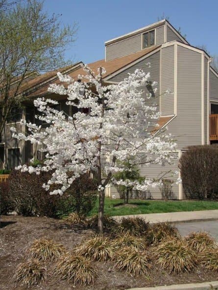 Louisville Condo: 370 Crescent Spring Dr