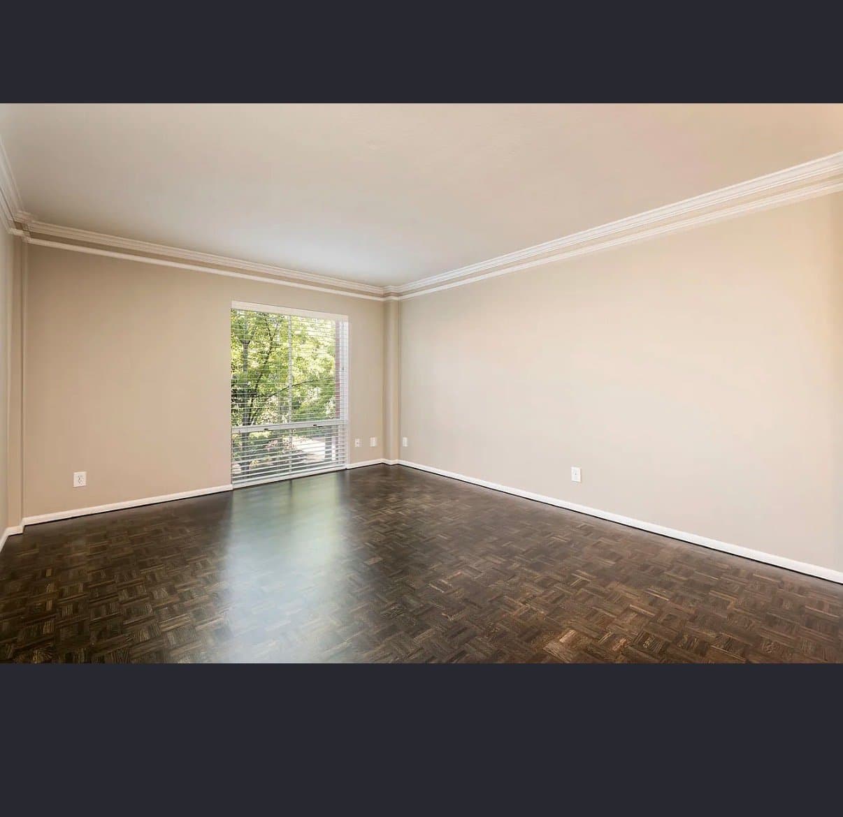 Knoxville Other: 1400 kenesaw ave