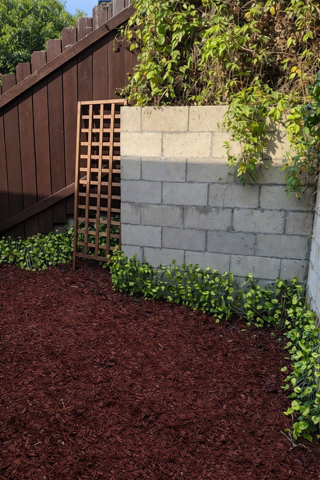 San Diego House: 1015 40th Street