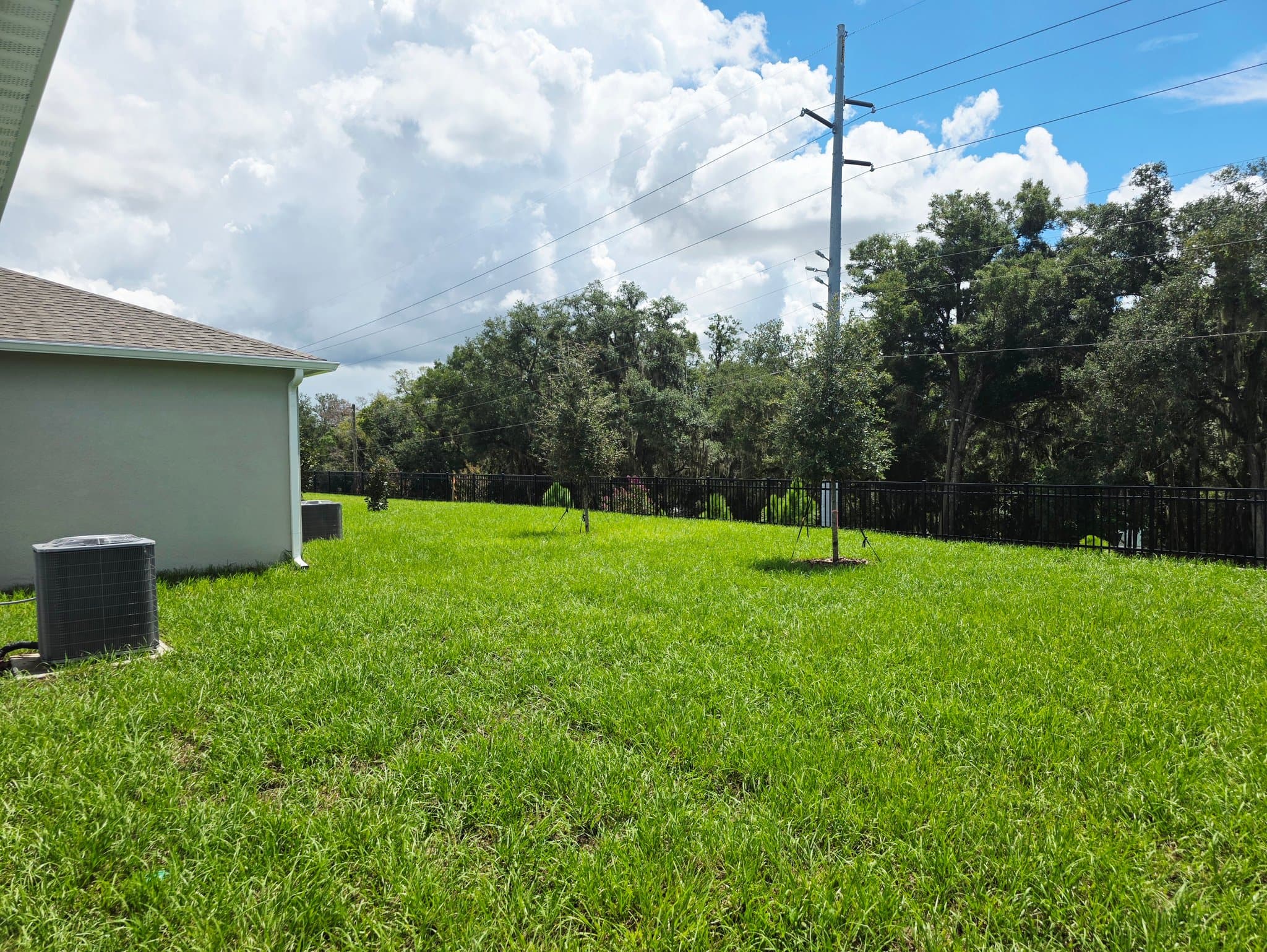 Mount Dora House: 20332 Lavender Bloom Loop