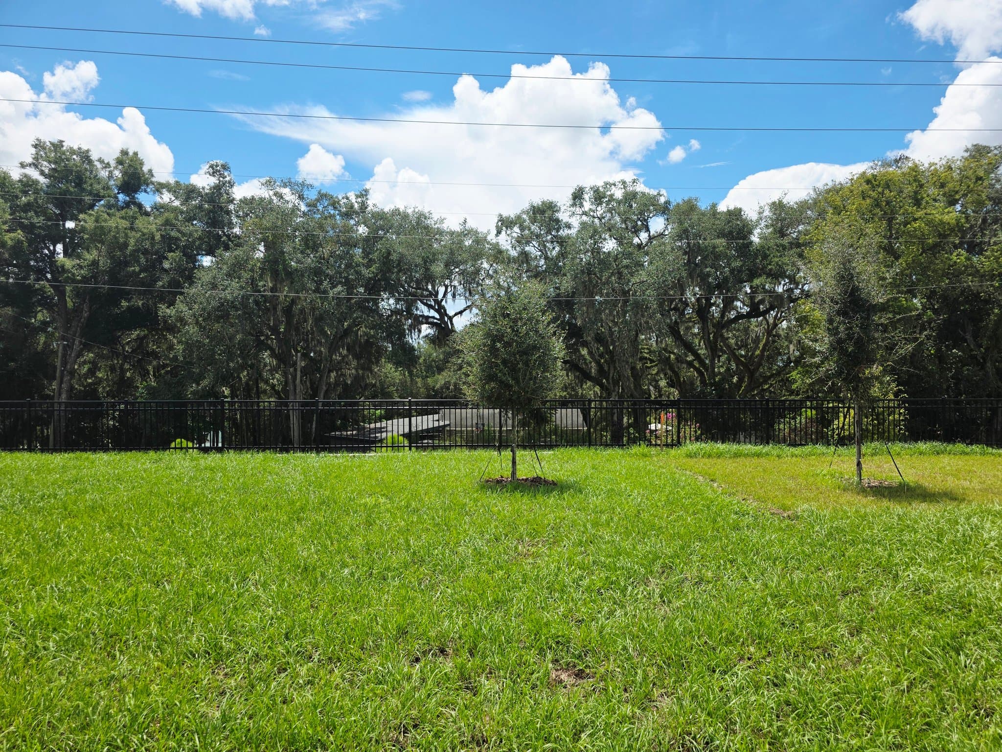 Mount Dora House: 20332 Lavender Bloom Loop