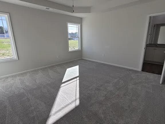 Four Oaks House: 313 Bonsai Way