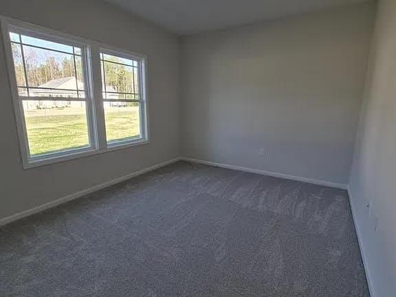 Four Oaks House: 313 Bonsai Way