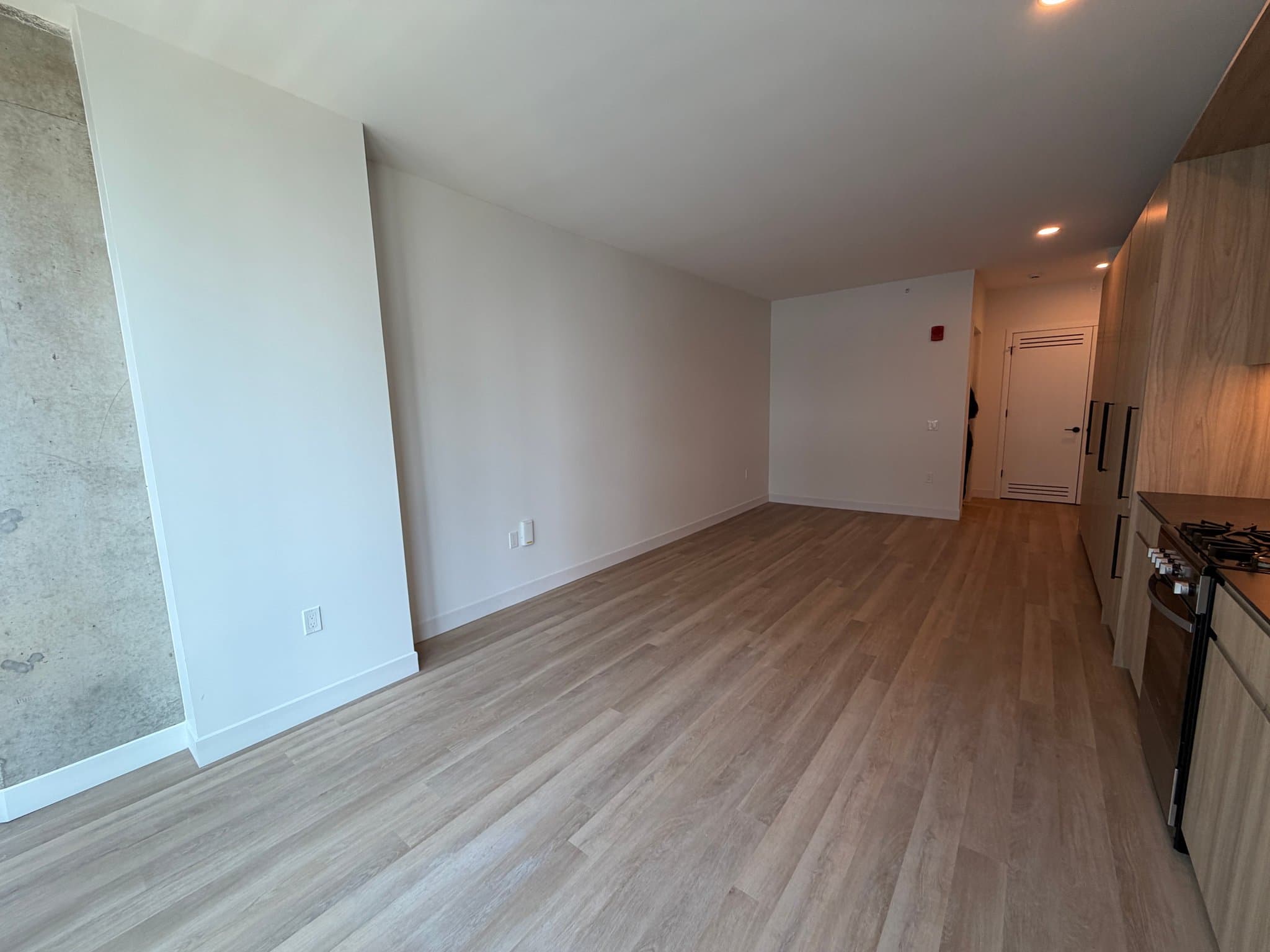 Chicago Condo: 221 North Ada Street