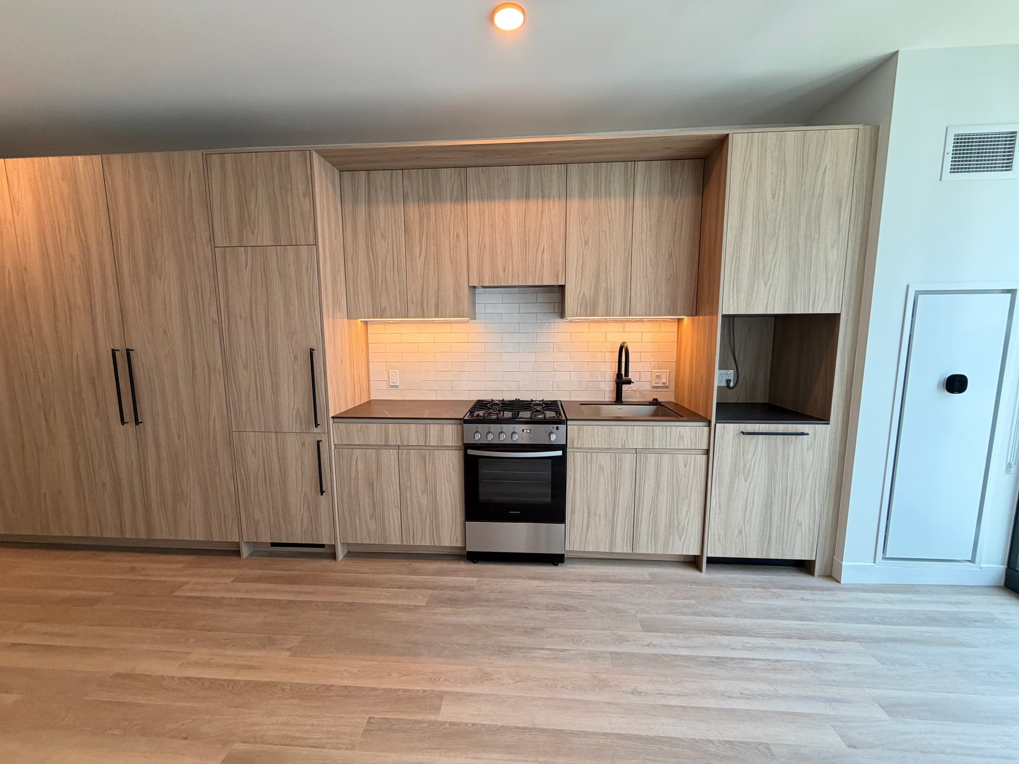 Chicago Condo: 221 North Ada Street