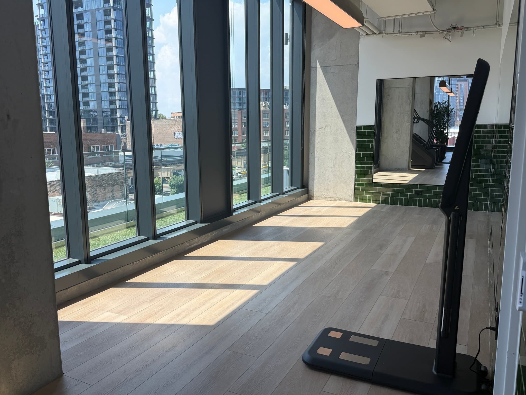 Chicago Condo: 221 North Ada Street